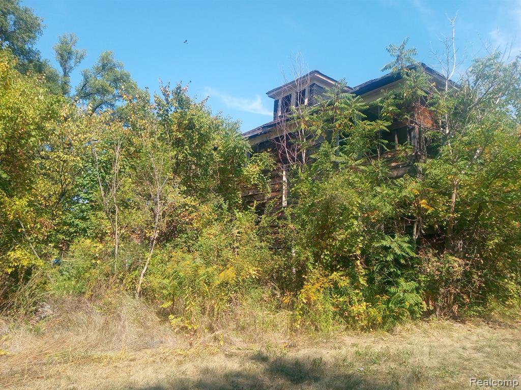 9359 Broadstreet Avenue, Detroit, MI 48204 — Photo 4
