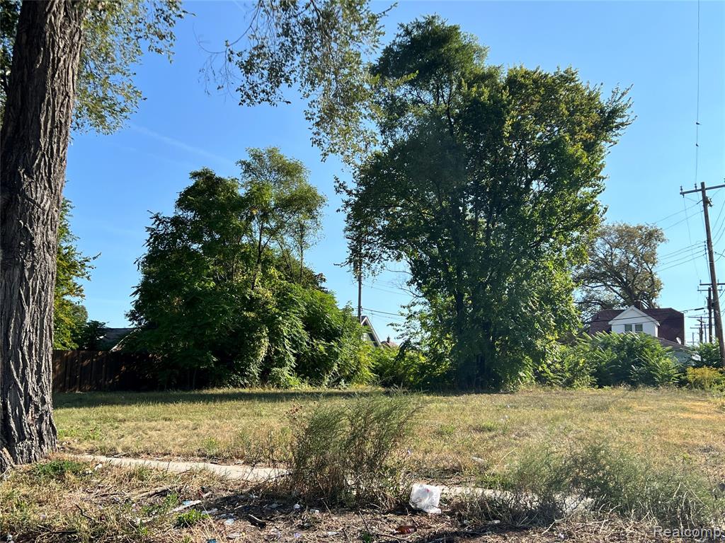 12834 Dwyer Street, Detroit, MI 48212 — Photo 2