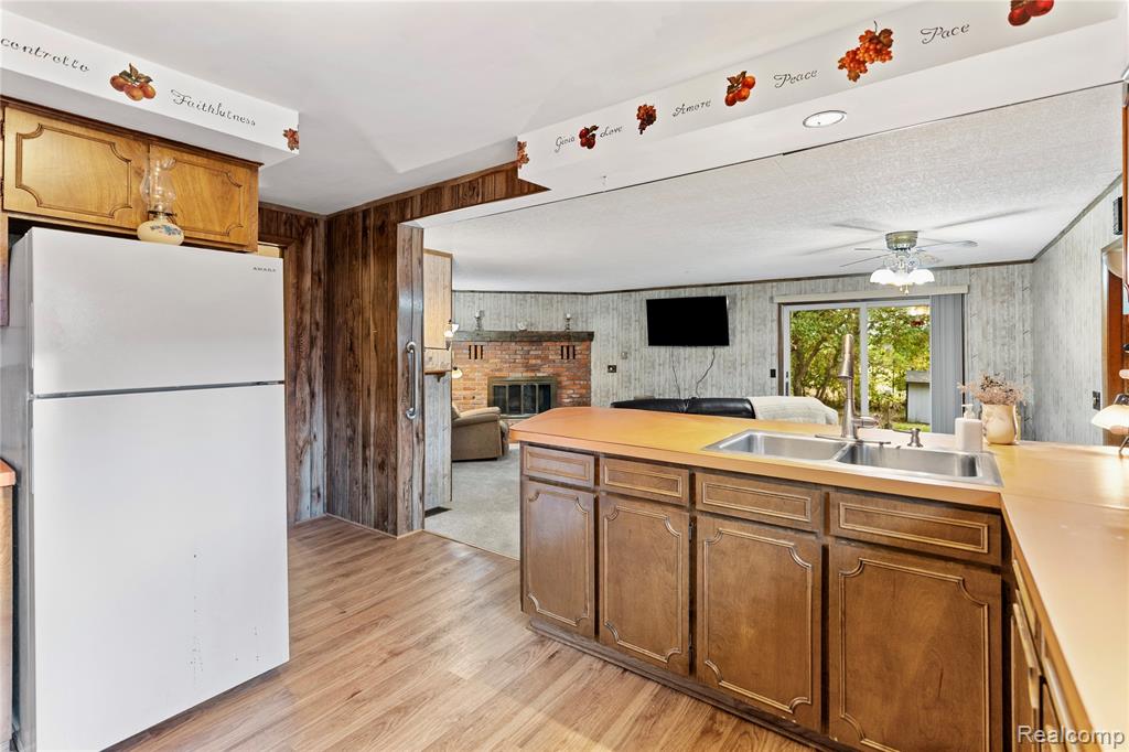 229 W Maple Street, Elsie, MI 48831 — Photo 7