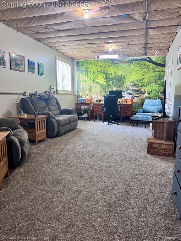 6060 INTRINSIC Lane, Imlay City, MI 48444 — Photo 23