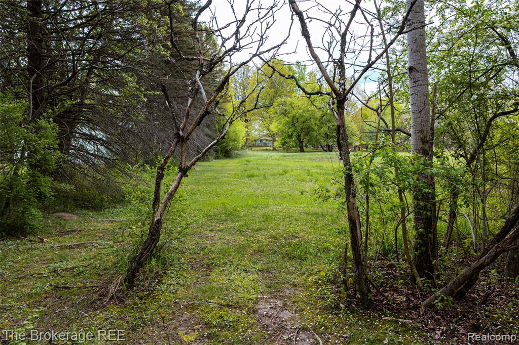 5042 Cook Road, Swartz Creek, MI 48473 — Photo 13