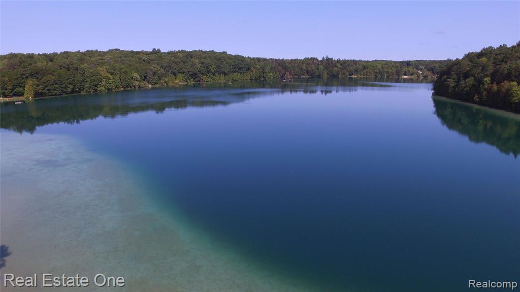 3125 N Tipsico Lake Road, Hartland, MI 48353 — Photo 44