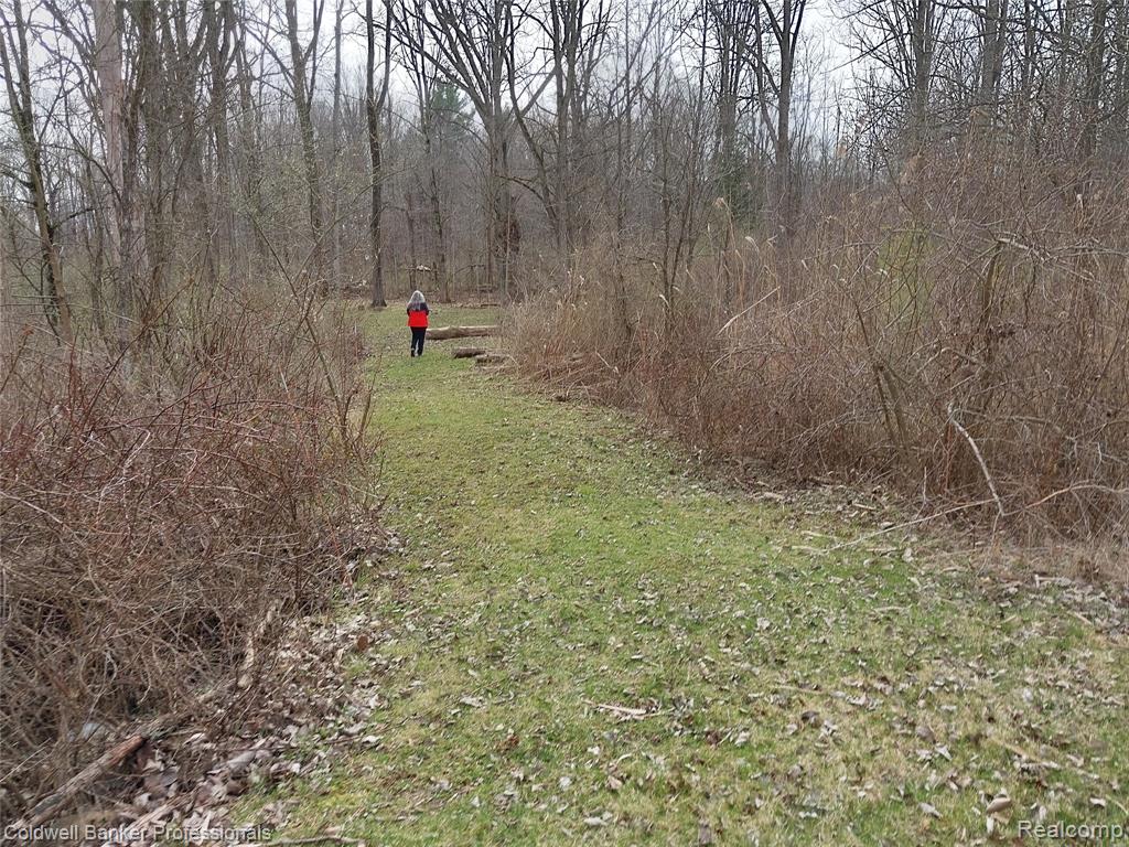 VL Rattle Run Road, St. Clair, MI 48079 — Photo 12