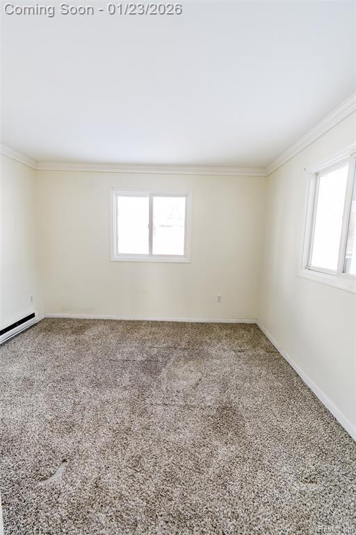 862 Moran Avenue, Lincoln Park, MI 48146 — Photo 7