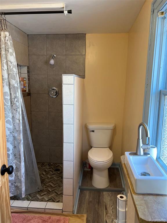 433 Pewabic Street, Laurium, MI 49913 — Photo 38
