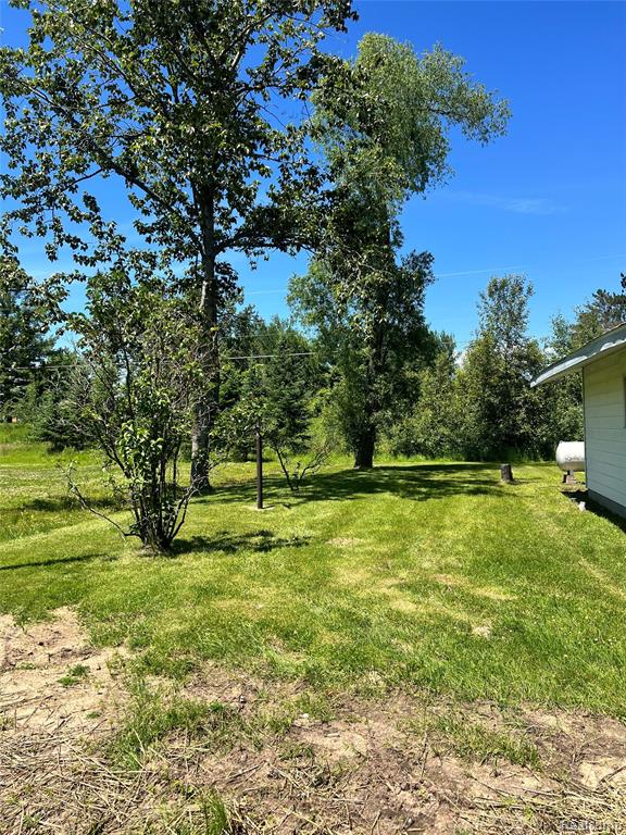 3567 Coveview Drive, Lupton, MI 48635 — Photo 5