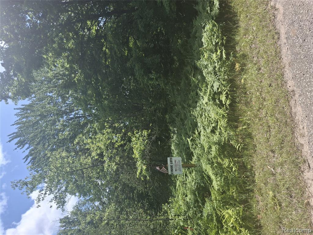 Wilamont Circle Lot 143, Mancelona, MI 49659 — Photo 5