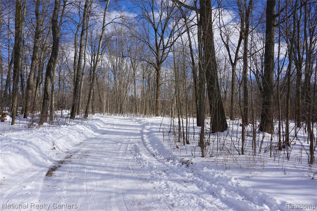 1495 Briggsville Road, Fowlerville, MI 48836 — Photo 30