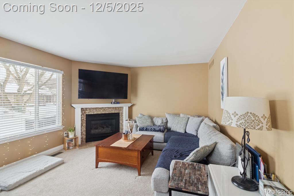 41512 Pheasant Creek Drive, Canton, MI 48188 — Photo 16