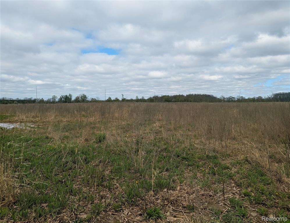 Parcel E Hogan Road, Linden, MI 48451 — Photo 14