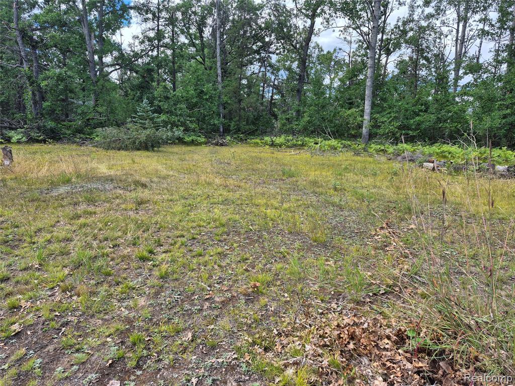11864 Spikehorn Road, Johannesburg, MI 49751 — Photo 12