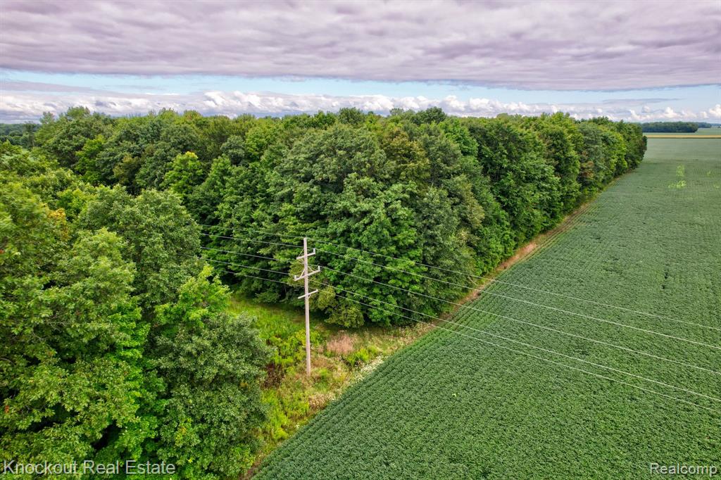 8000 Roedel Road, Frankenmuth, MI 48734 — Photo 12