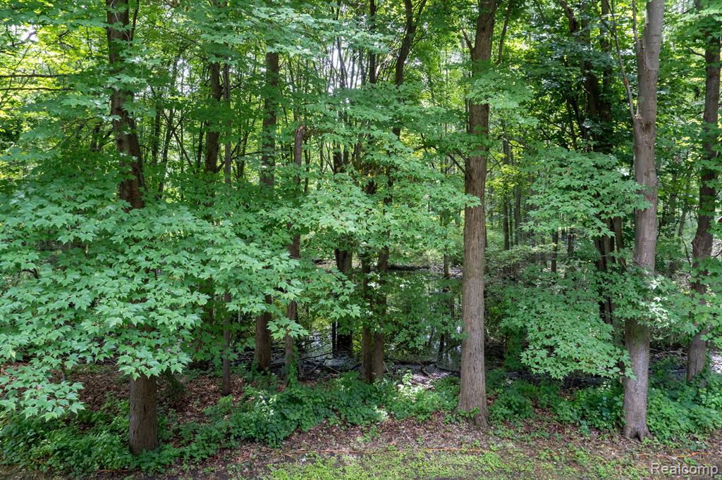 6851 TANGLE WOOD, Waterford, MI 48327 — Photo 33