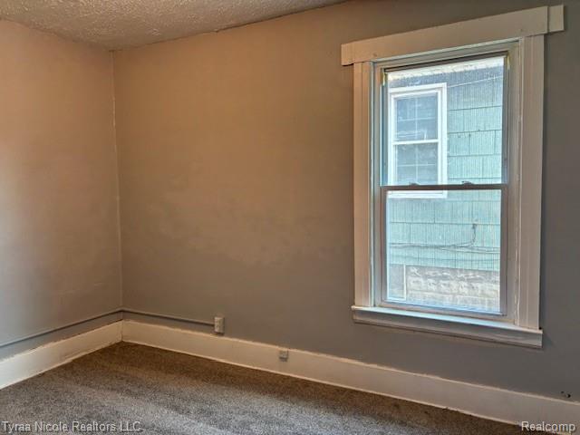 49 Orchard Street, River Rouge, MI 48218 — Photo 4