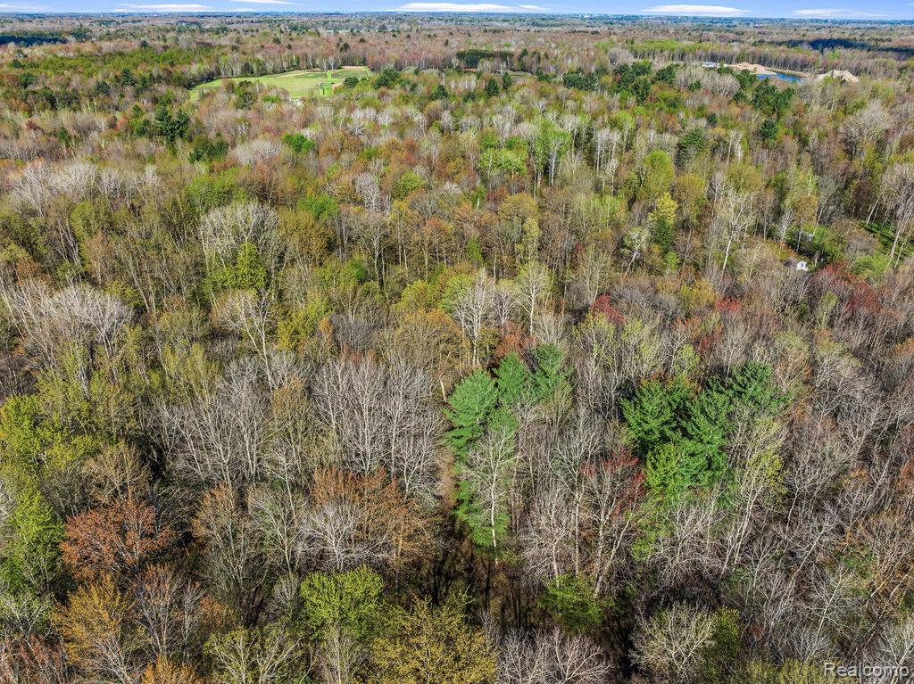 6799 Maplegrove Road, Vassar, MI 48768 — Photo 4
