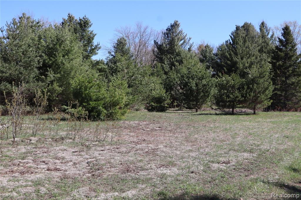 5575 E 26 Mile Road, Pickford, MI 49774 — Photo 36