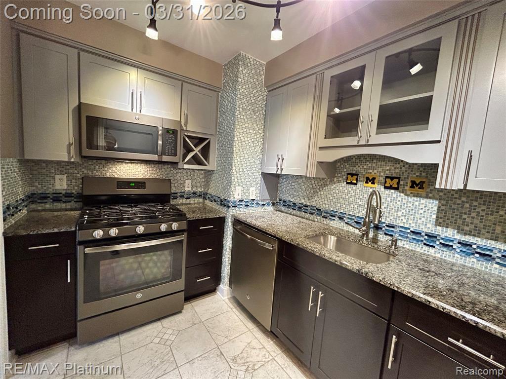 1229 Island Drive, 204, Ann Arbor, MI 48105 — Photo 10
