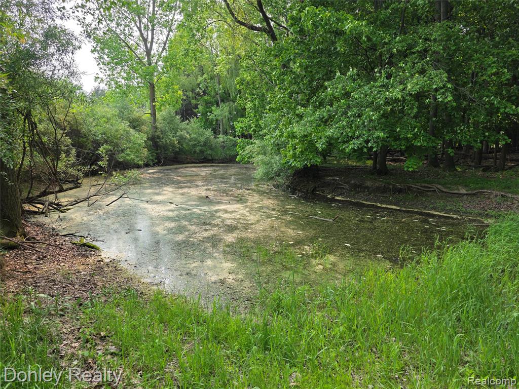 5900 Frenchline Road, Marlette, MI 48453 — Photo 6