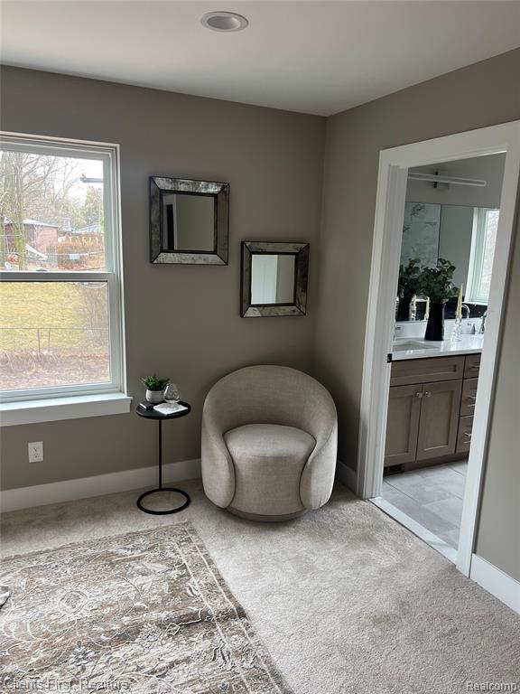 924 Carrington Drive, Northville, MI 48167 — Photo 34