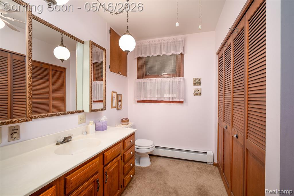 207 N Pine River Street, Ithaca, MI 48847 — Photo 19