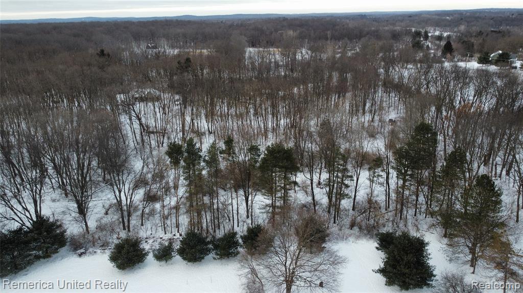 4297 Dinser Lane, Whitmore Lake, MI 48189 — Photo 5