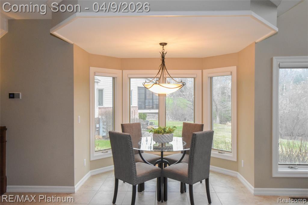 9092 Lake Dominion Drive, Brighton, MI 48114 — Photo 28