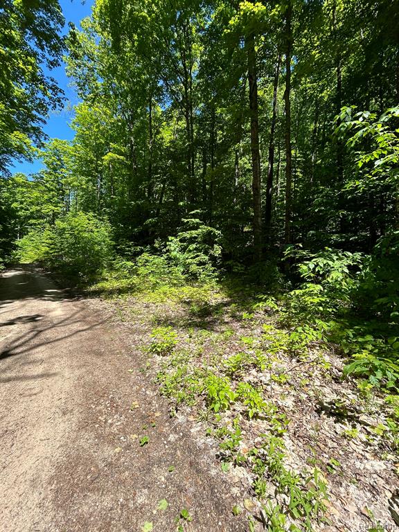 VL Smith Lake Road, Mancelona, MI 49659 — Photo 7