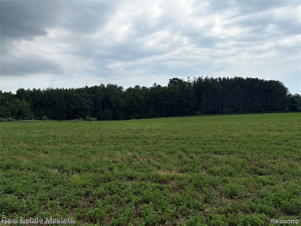 300 W Hubert Road, Spruce, MI — Photo 8
