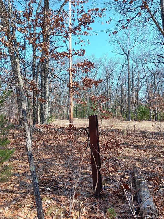 0000 Cedar Creek Road, Wellston, MI, 49689