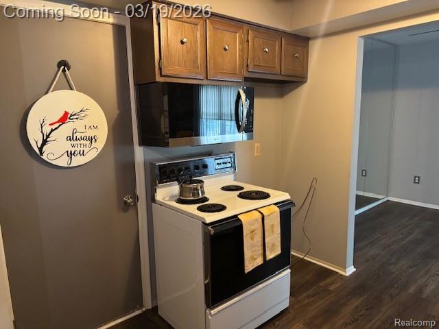 31056 Richert, 8, Fraser, MI 48026 — Photo 10