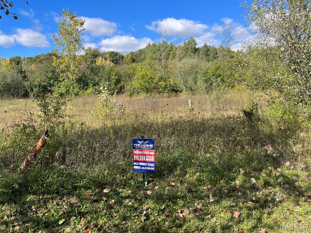 Search Homes for Sale