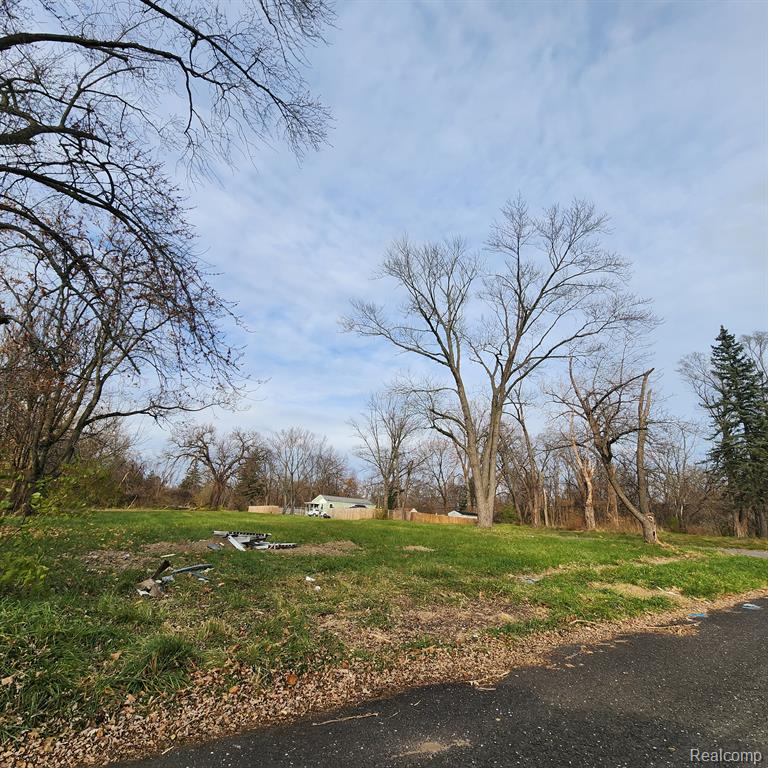 15401 HAZELTON Street, Detroit, MI 48223 — Photo 2