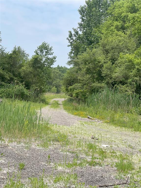 9885 CEDAR ISLAND Road, White Lake, MI — Photo 5