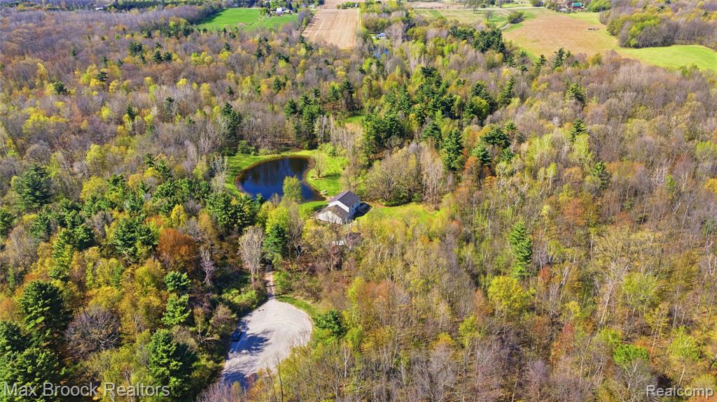 3295 Burning Tree Lane, Attica, MI 48412 — Photo 4