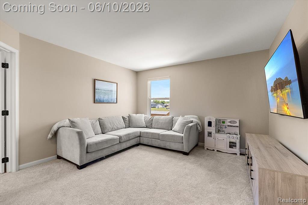 71471 Julius Drive, Romeo, MI 48065 — Photo 18