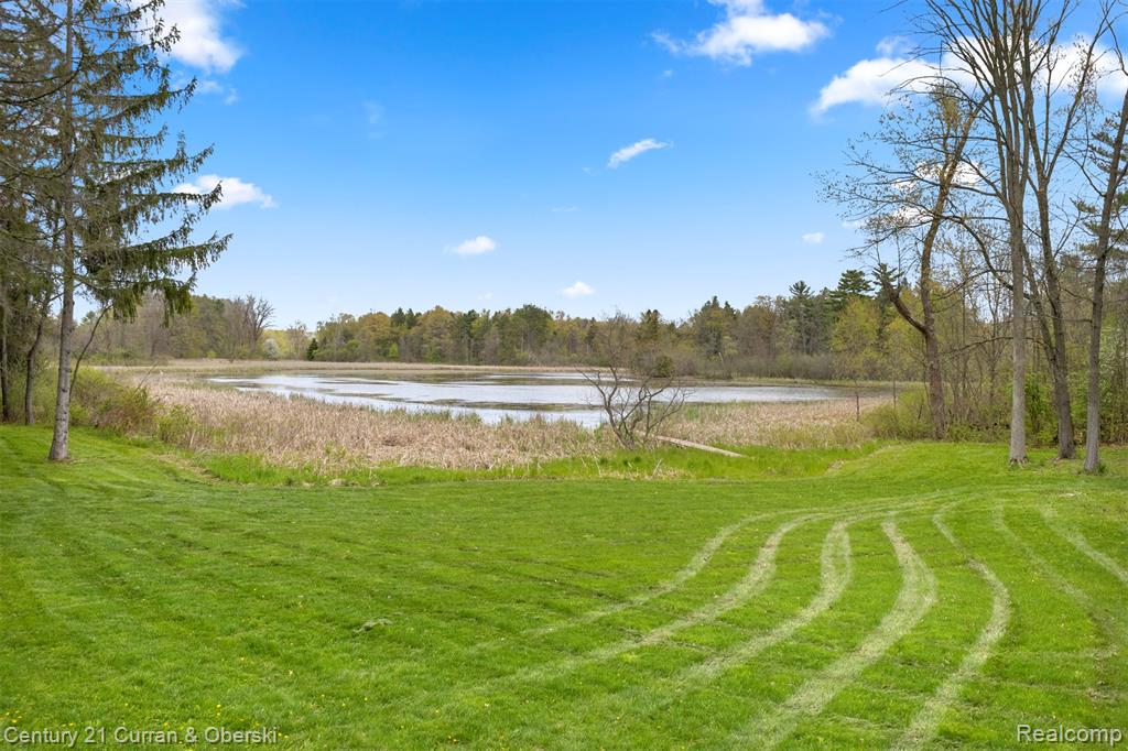 10459 Hyne Road, Brighton, MI 48114 — Photo 47