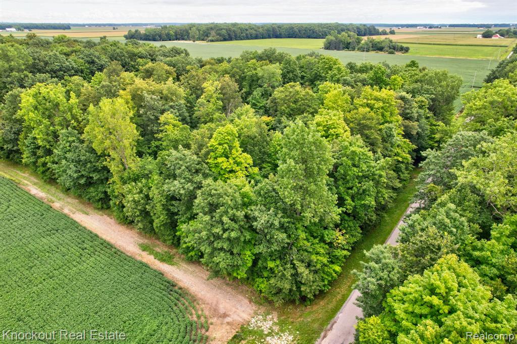 8000 Roedel Road, Frankenmuth, MI 48734 — Photo 18