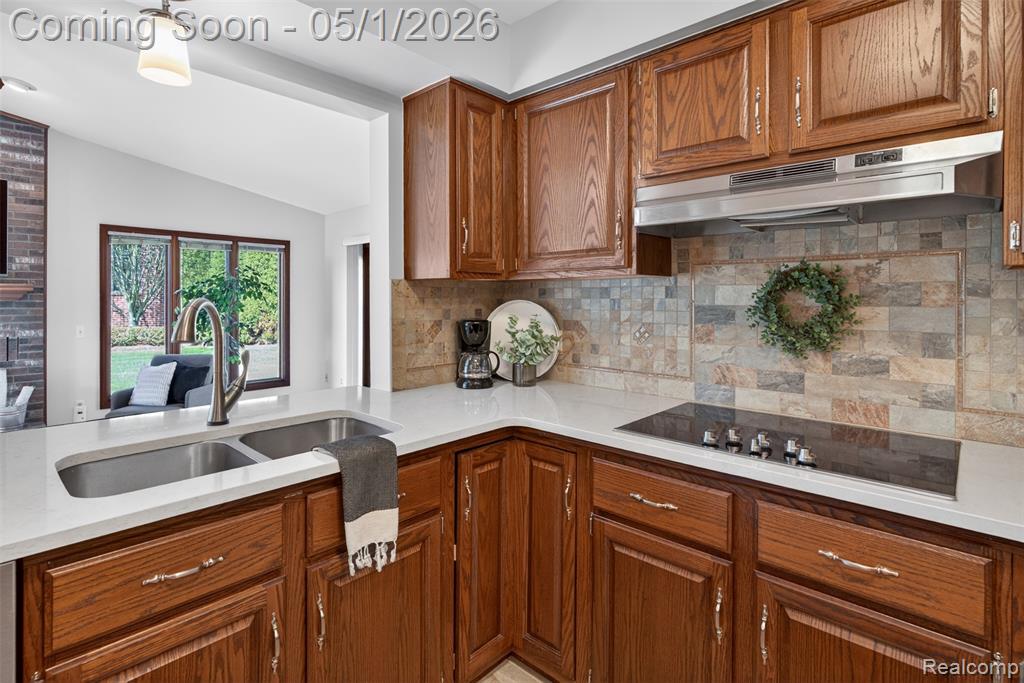 4359 Birch Run Drive, Troy, MI 48098 — Photo 15