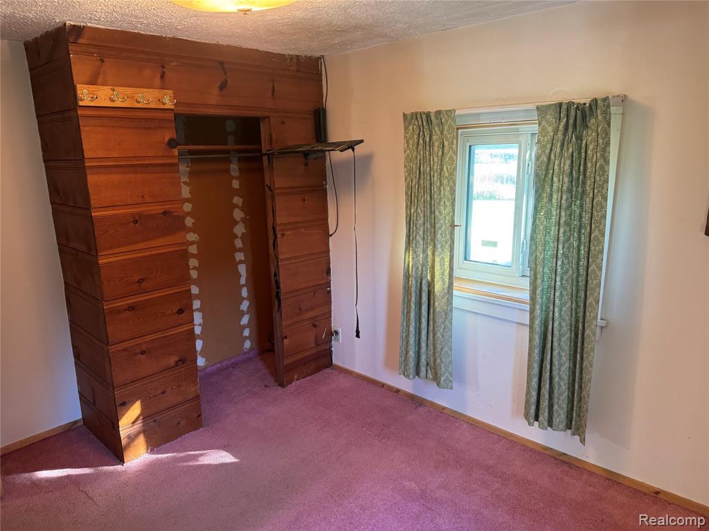 3762 Pratt Road, Metamora, MI 48455 — Photo 11