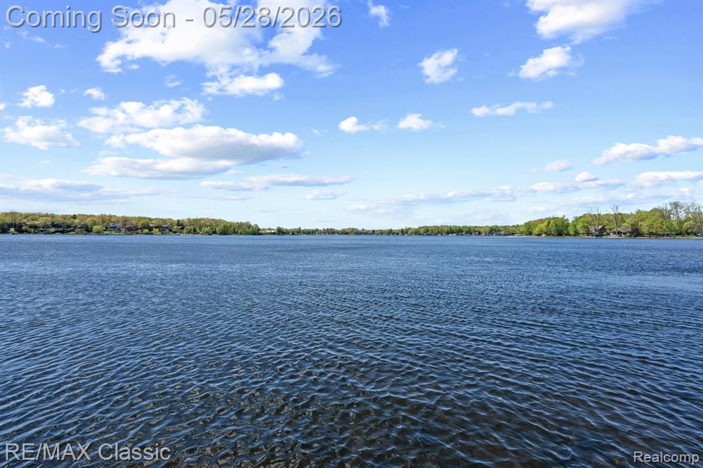 10584 Bob White Beach Boulevard, Whitmore Lake, MI 48189 — Photo 11