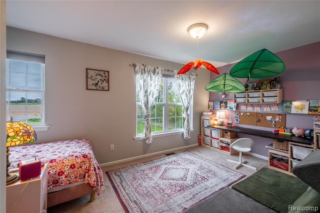 7839 Jefferson Road, North Branch, MI 48461 — Photo 12