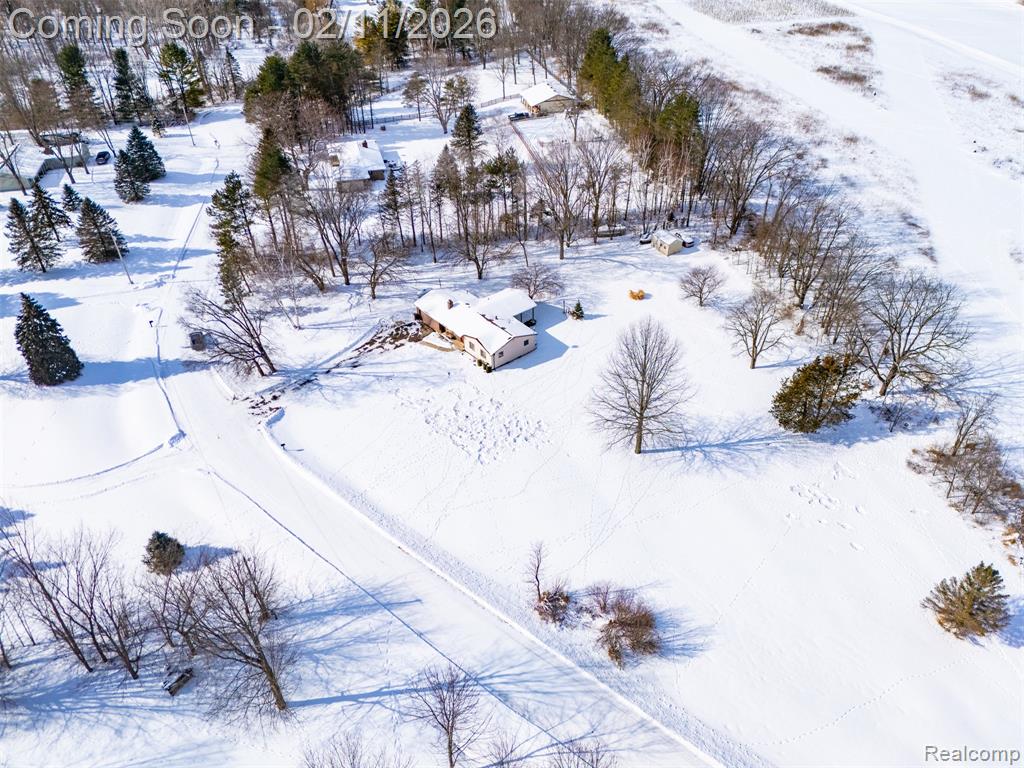 966 Nancy Ann Drive, Howell, MI 48855 — Photo 34