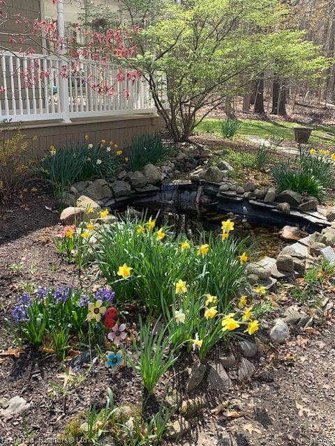 2451 HOG CREEK Road, Allen, MI 49227 — Photo 34