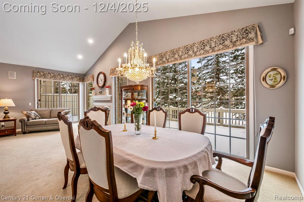 16925 Lochmoor Circle E, Northville, MI 48168 — Photo 16