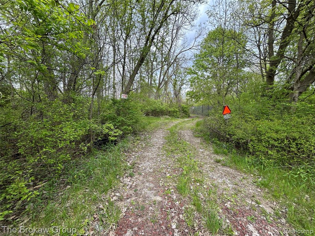 6120 Kelly Road, Flushing, MI 48433 — Photo 5