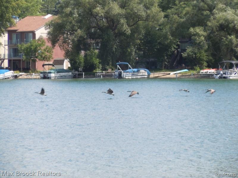5745 Eastman Boulevard, West Bloomfield, MI 48323 — Photo 72