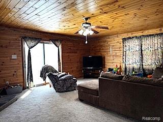 283 E Millington Road, Mayville Vlg, MI 48744 — Photo 20