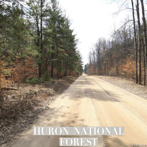 V/L S BRODIE Road, South Branch, MI 48761 — Photo 2