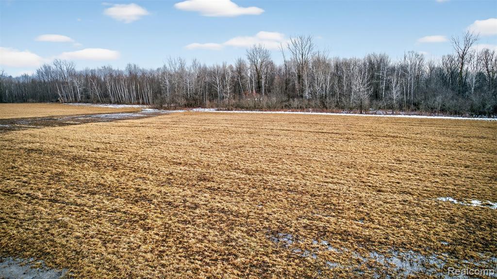 40 Acres Irish Rd, Millington, MI 48746 — Photo 9