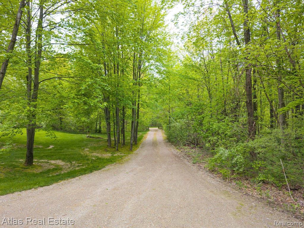 4217 PHILLIPS Road, Metamora, MI 48455 — Photo 19